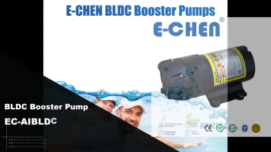 Brushless DC Motor Water Pump 1200gpd 4.5 L/<a href=